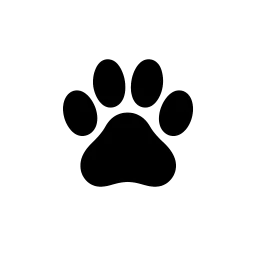 Tibet Terrier Nordfriesland